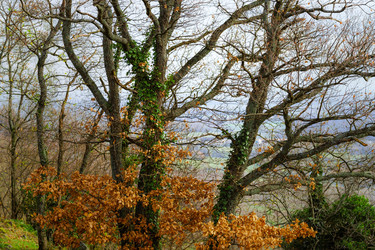 Similar image 10452763