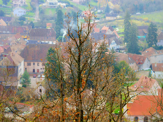 Similar image 10452765