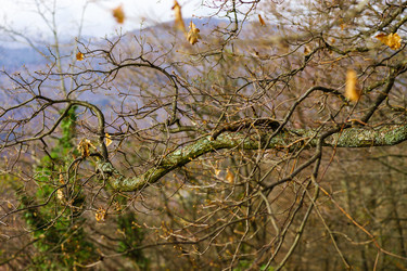 Similar image 10452766