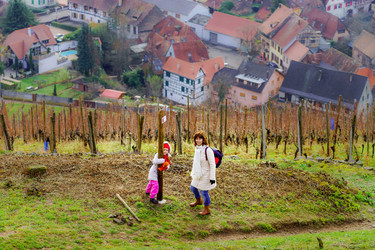 Similar image 10452770