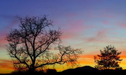 Similar image 10452785