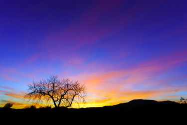 Similar image 10452796