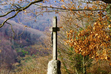 Similar image 10452807