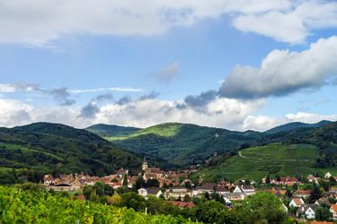 Similar image 10452832