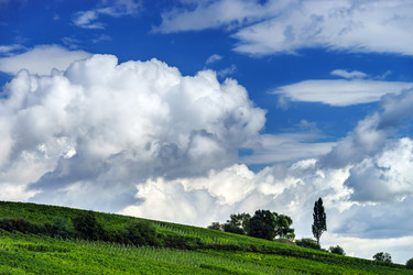 Similar image 10452833