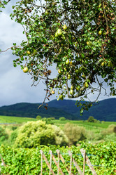 Similar image 10452842