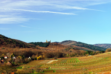 Similar image 10452863