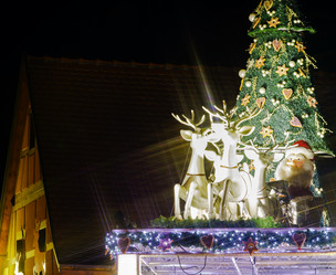 Similar image 10452867