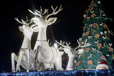 Similar image 10452868