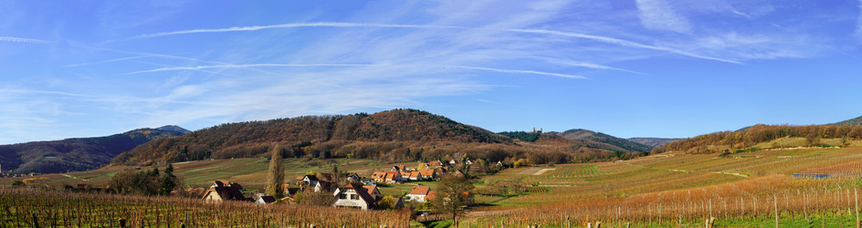 Similar image 10452871