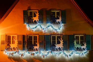 Similar image 10452872