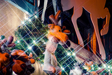 Similar image 10452879