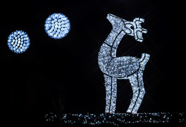 Similar image 10452880