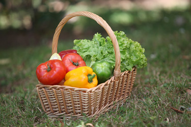 Similar image 10452895