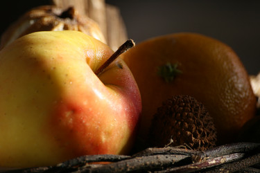 Similar image 10452906