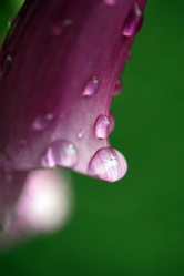 Similar image 10452911