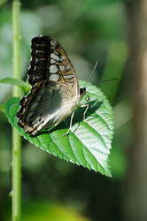 Similar image 10452915