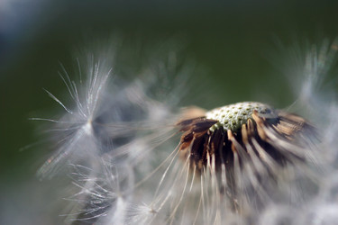 Similar image 10452917