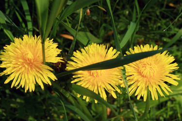 Similar image 10452918