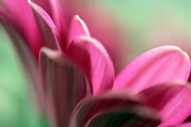 Similar image 10452920