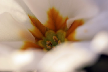 Similar image 10452921