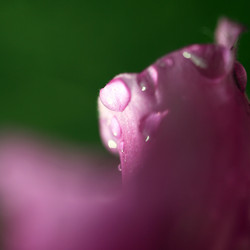 Similar image 10452925