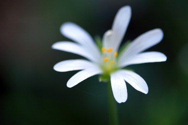 Similar image 10452926