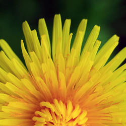 Similar image 10452931