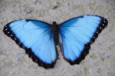 Similar image 10452933