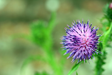 Similar image 10452936