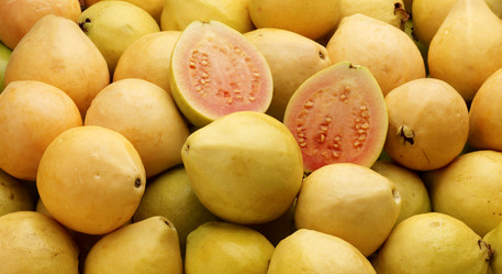 Similar image 10452937