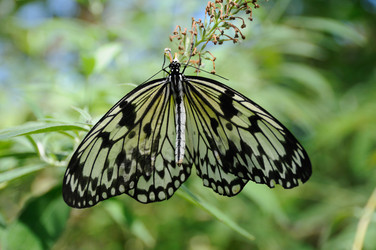 Similar image 10452940