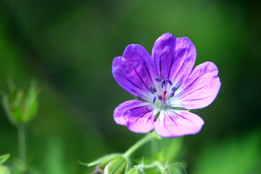 Similar image 10452943