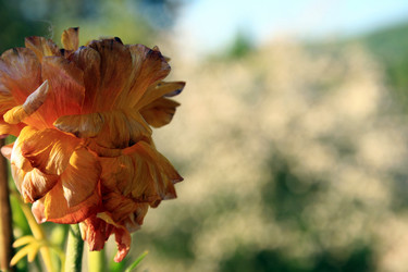 Similar image 10452944