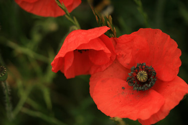 Similar image 10452945