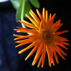 Similar image 10452946