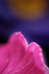 Similar image 10452952