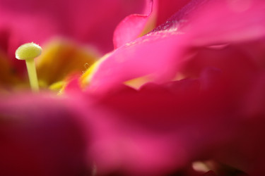 Similar image 10452953