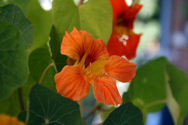 Similar image 10452956