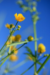 Similar image 10452957