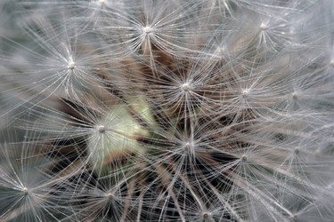 Similar image 10452958