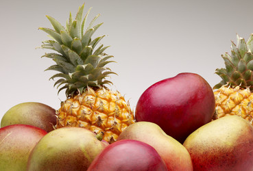 Similar image 10452980