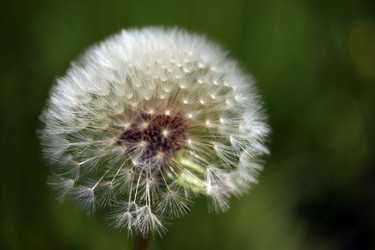 Similar image 10452981