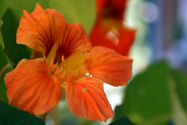 Similar image 10452982