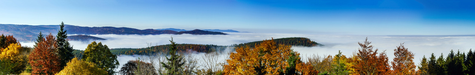 Similar image 10453139