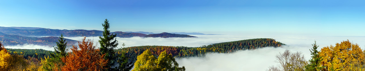 Similar image 10453142