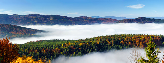 Similar image 10453144