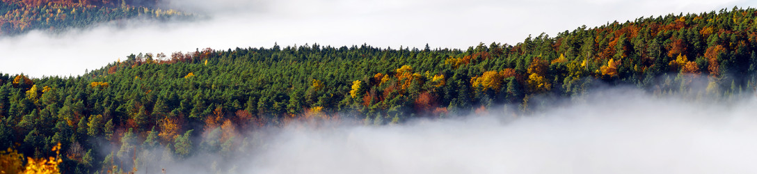 Similar image 10453145