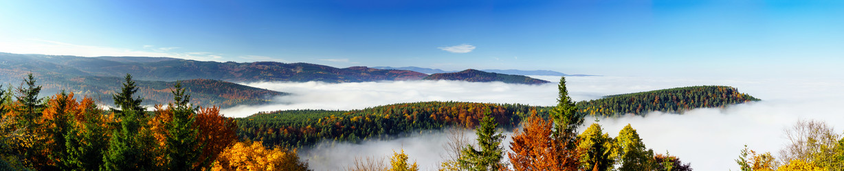 Similar image 10453146