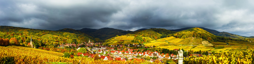 Similar image 10453148